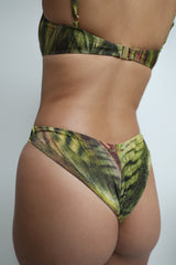 Coco De Mer V Cut Bottom Palmadusa